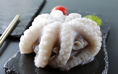 FROZEN OCTOPUS